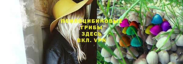 экстази Переславль-Залесский