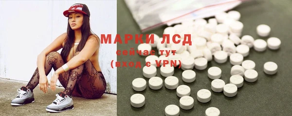 трава Пересвет