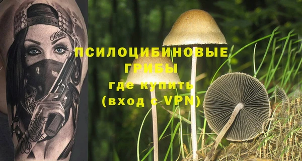 герыч Пестово