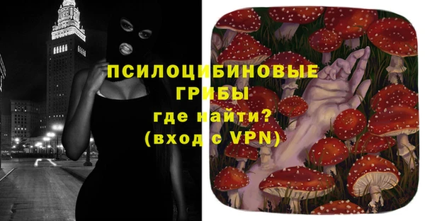 герыч Пестово