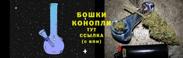 трава Пересвет