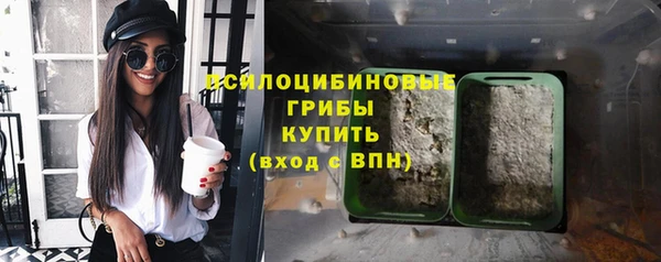 трава Пересвет