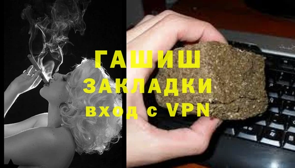 трава Пересвет