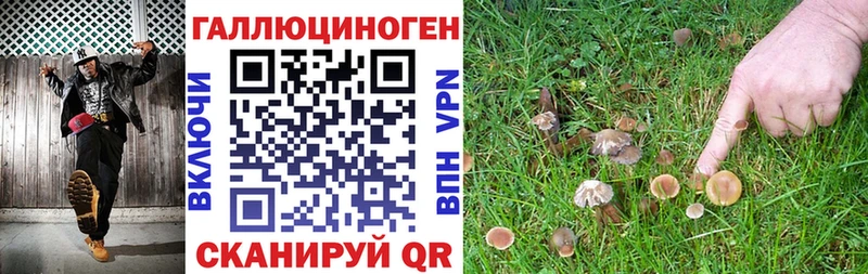 Галлюциногенные грибы Magic Shrooms  Старая Русса 
